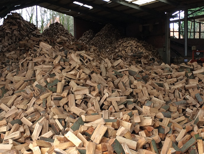 Frisches Kaminholz – Hartholz